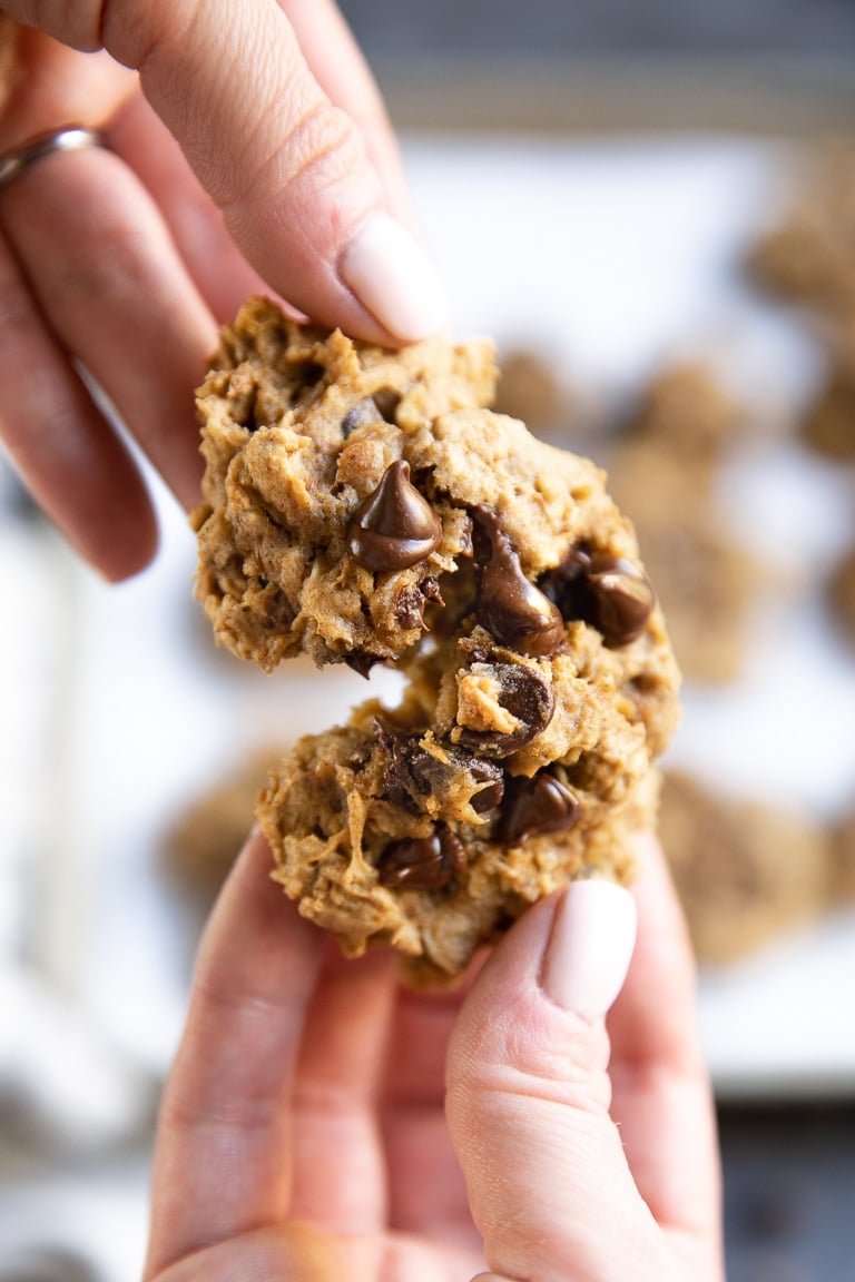 pumpkin chocolate chip cookie being pulled apart