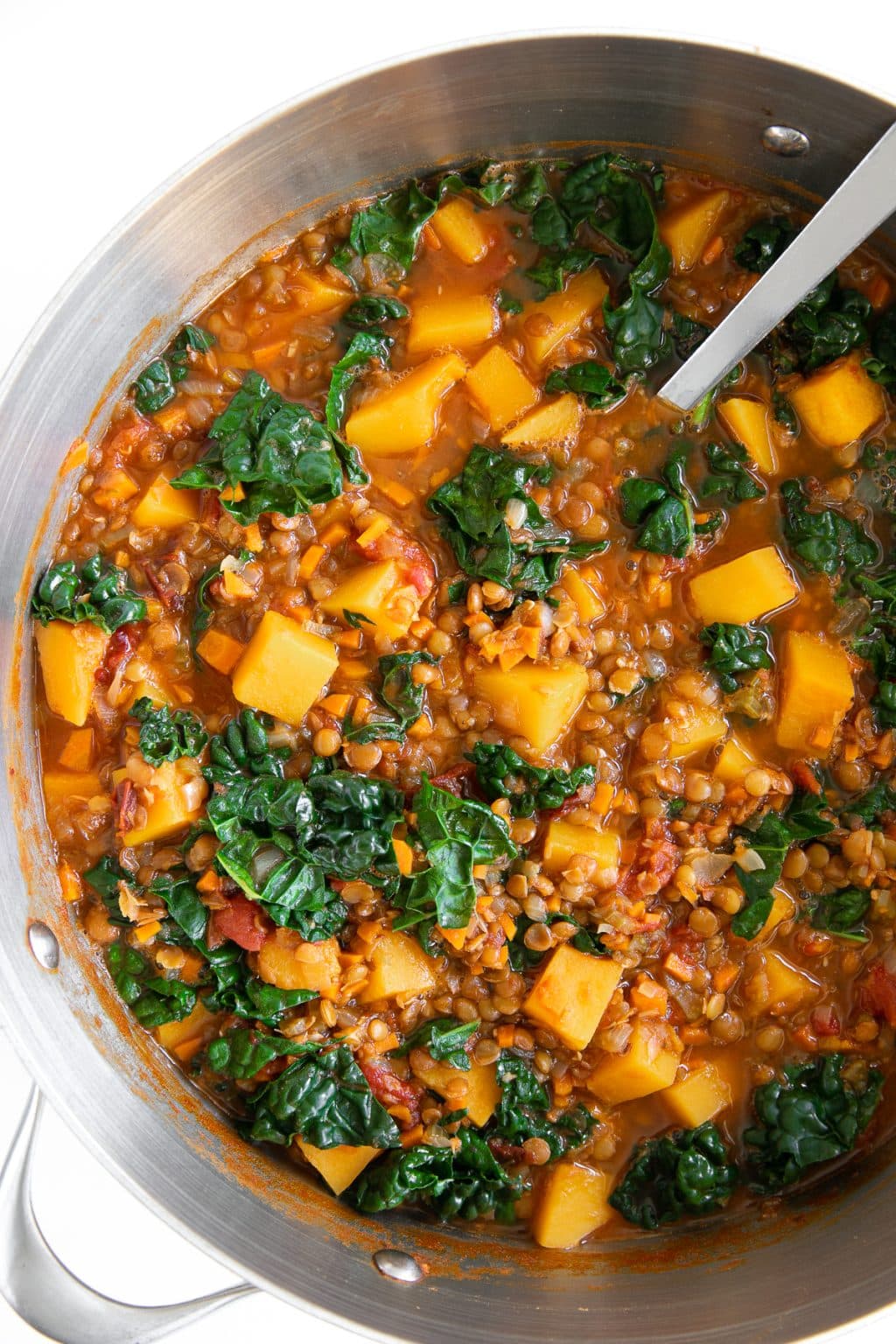Vegetarian Lentil Stew with Butternut Squash and Chipotle Peppers (Easy OnePot Recipe) The