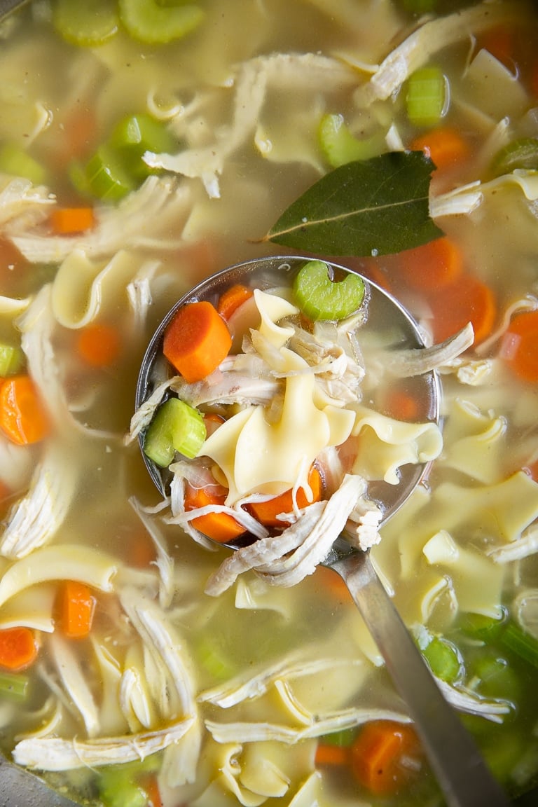 Top Homemade Chicken Noodle Soup Recipe - The Forked Spoon