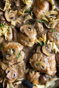 Chicken stroganoff mixed with egg noodles.