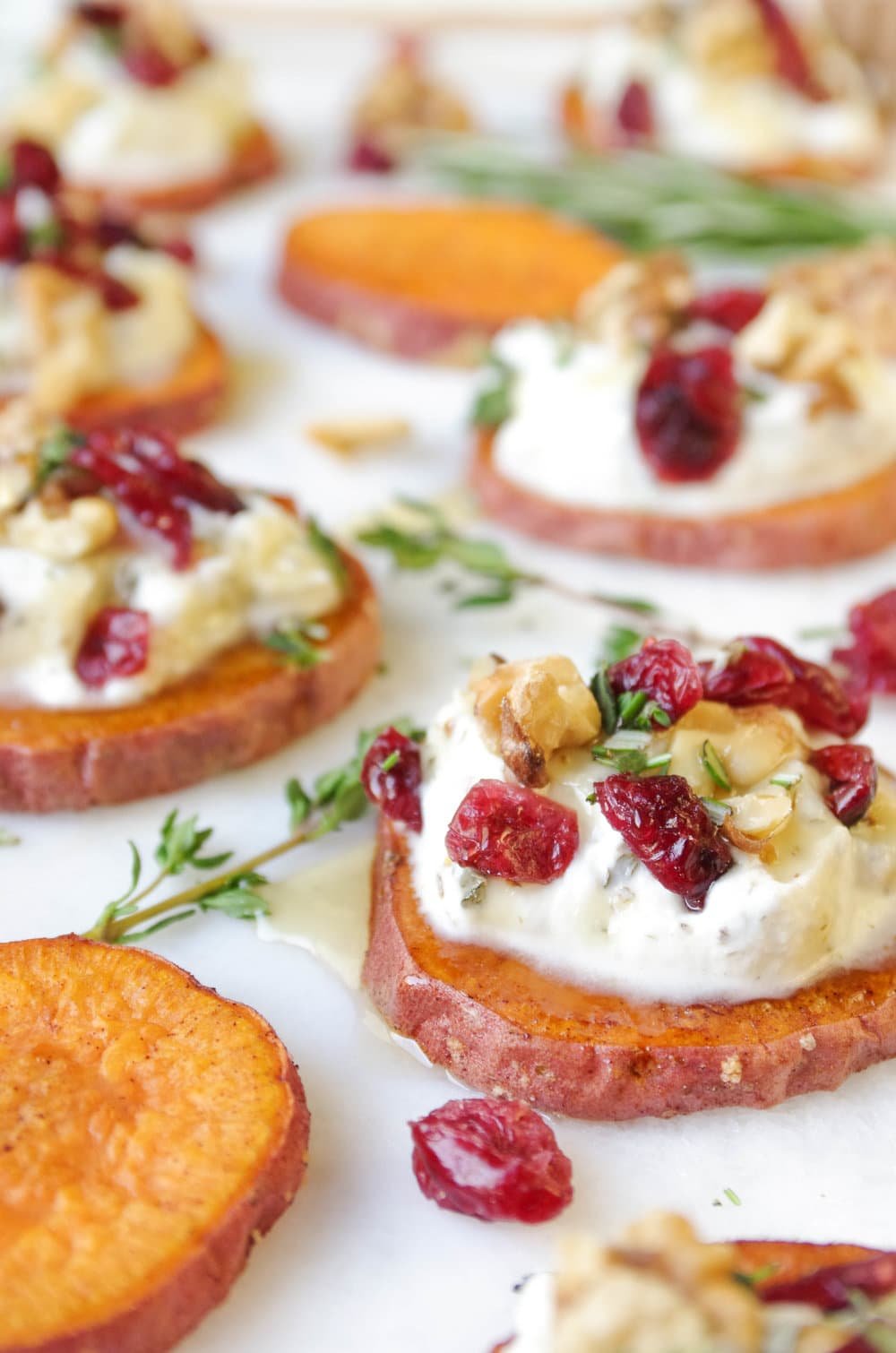 Baked Sweet Potato Rounds topped with a mixture of goat cheese, ricotta, and fresh herbs and garnished with dried cranberries, walnuts, and honey.
