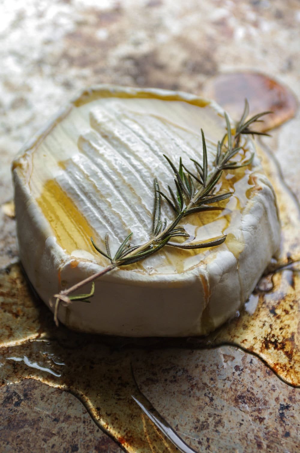 SIde view of baked brie covered in warm dripping honey and charred sprig of fresh rosemary.