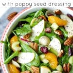 Bowl of autumn apple pasta salad with fresh spinach, sliced apples, mandarin oranges, pecans, celery, dried cranberries, and poppy seed dressing.