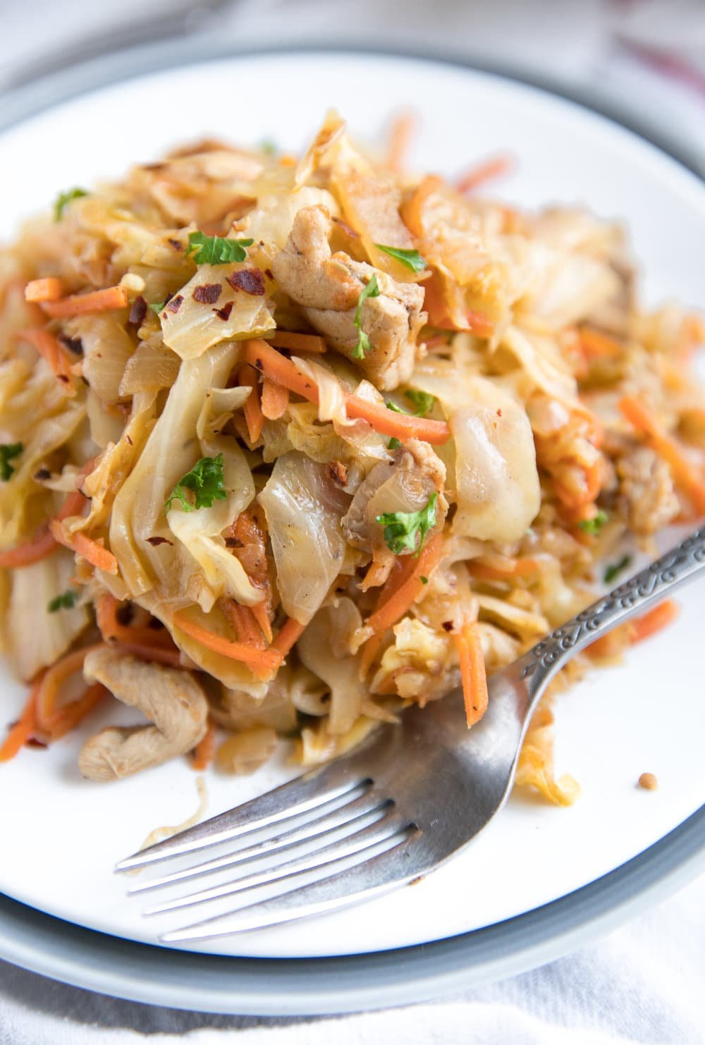close up of chicken and cabbage on a plate