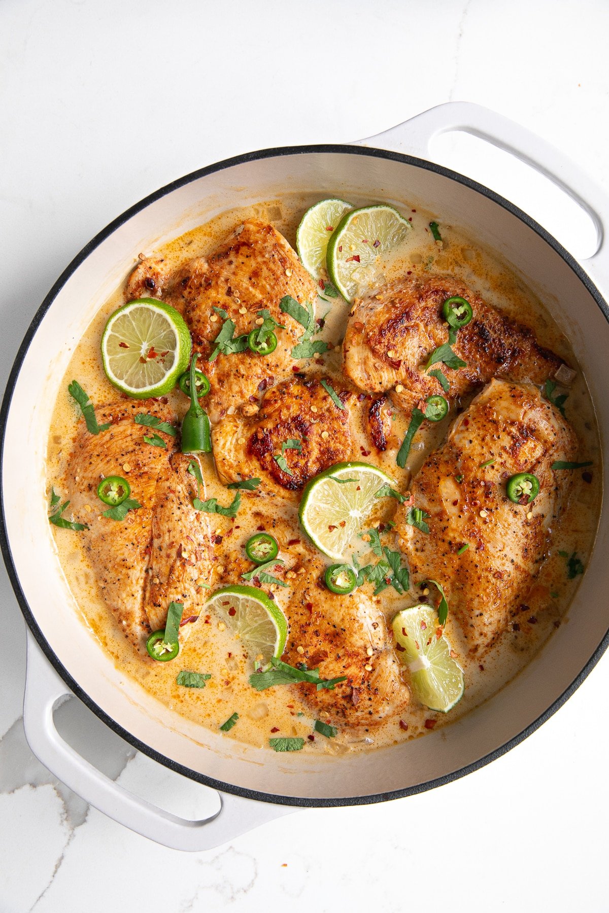 Creamy Coconut Milk Chicken Recipe (OneSkillet) The Forked Spoon