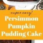Persimmon Pumpkin Pudding Cake