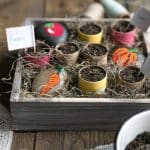 DIY Upcycled Toilet Paper Seedling Pots and Painted Stone Garden Markers