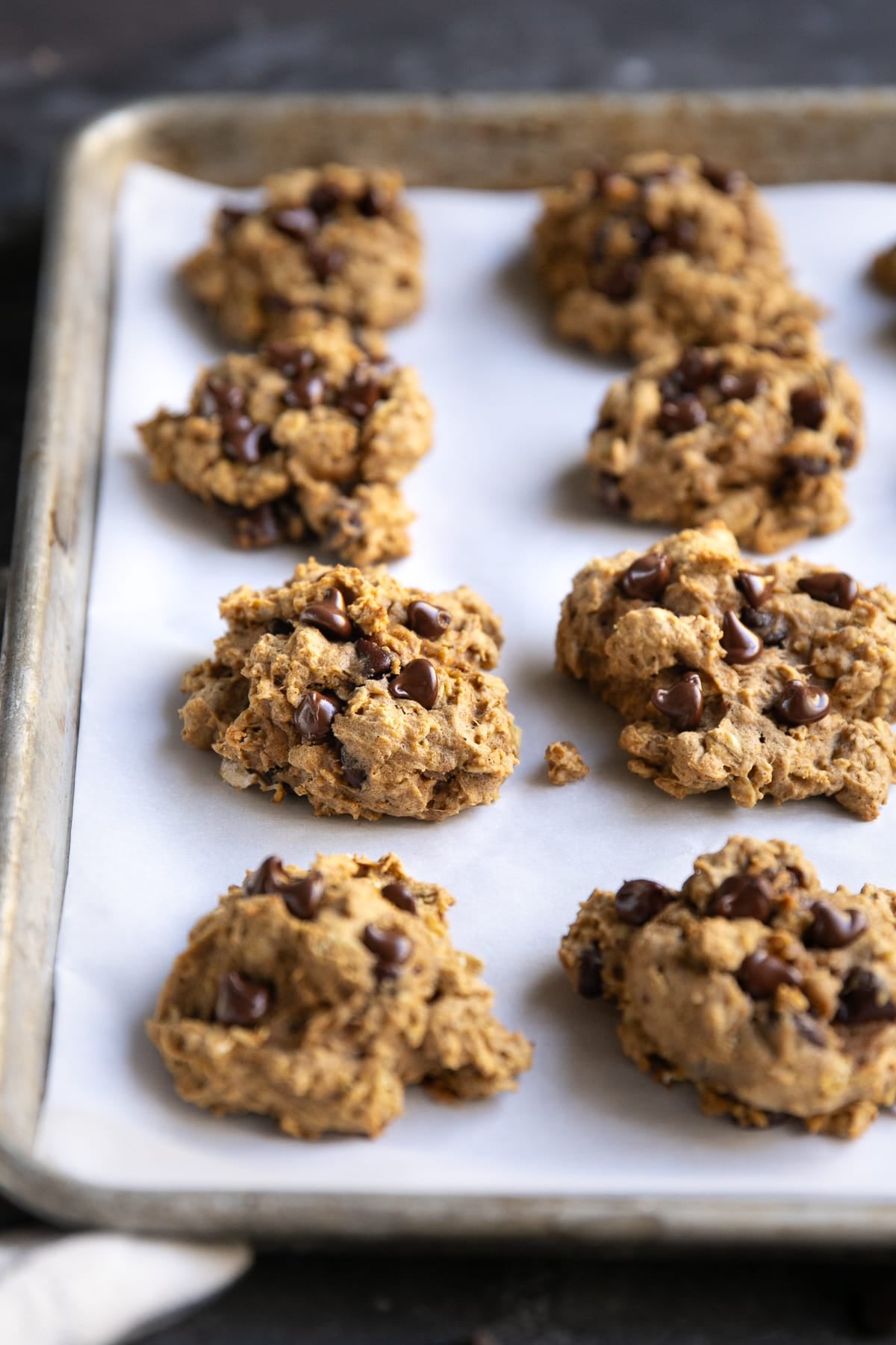 Freshly baked pumpkin oatmeal chocolate chip cookies on a white parchment-lined metal baking sheet, photographed at an angle with several thick cookies in focus and melted chocolate chips scattered across their tops.