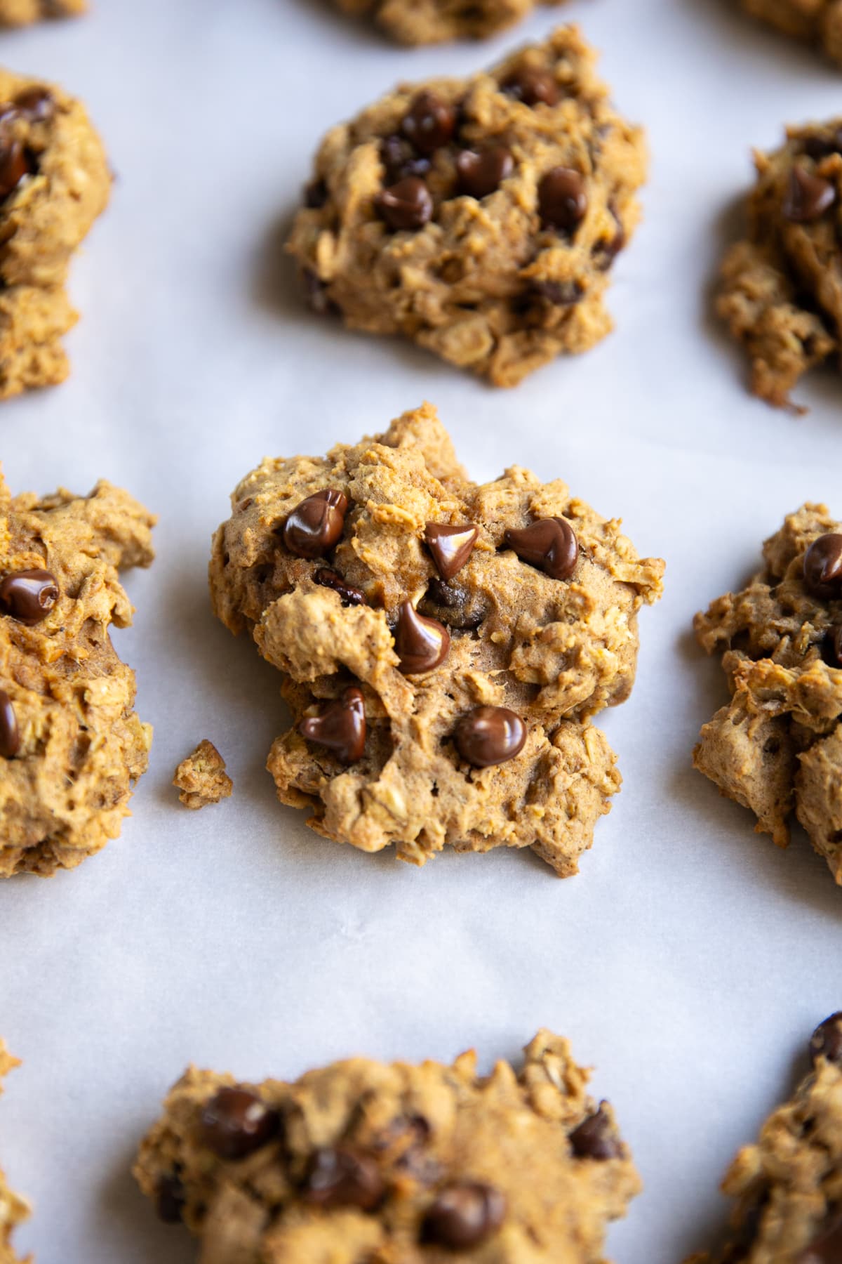 Close-up of a soft golden-brown pumpkin oatmeal chocolate chip cookie on white parchment paper, showing rolled oats throughout the cookie and glossy melted chocolate chips pressed into the top.