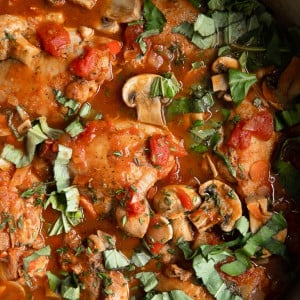 Cacciatore Chicken close up in pot
