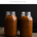 Mexican Mole Sauce Recipe (Chicken Mole)