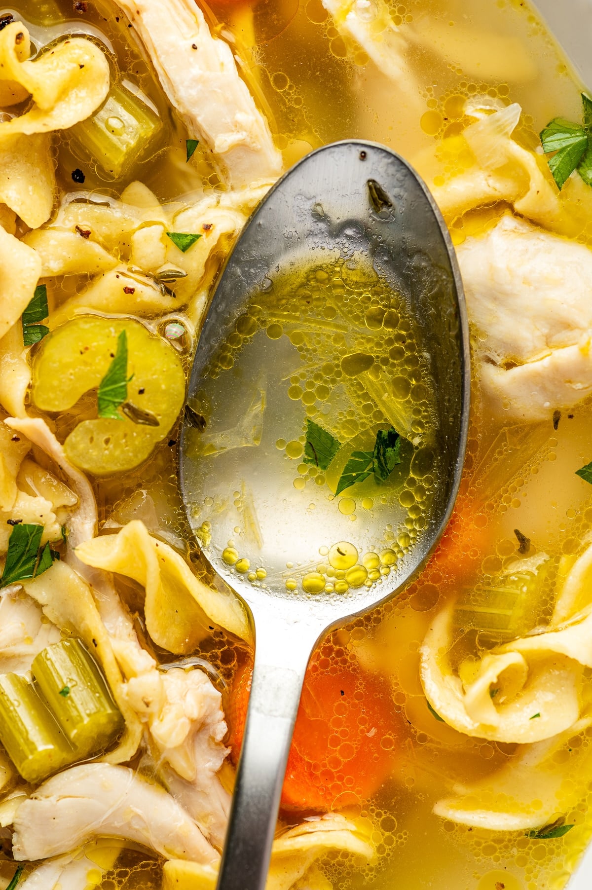 Spoon resting in clear golden chicken broth surrounded by wide egg noodles, shredded chicken, sliced celery and carrots, herbs, parsley, and small droplets of chicken fat.