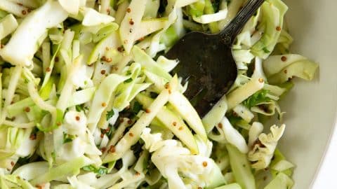 Crunchy Apple Coleslaw Recipe The Forked Spoon