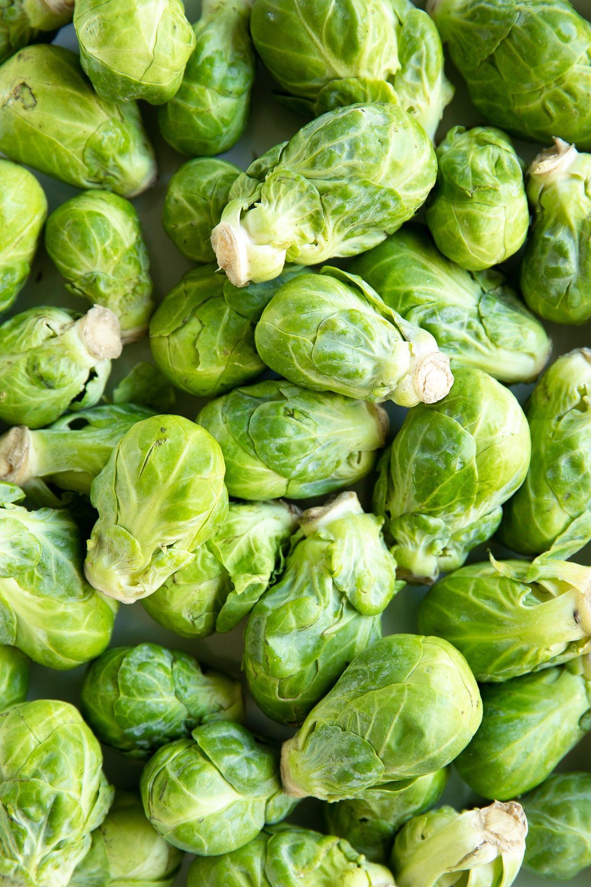 Overhead image of a pile of raw whole Brussels sprouts.
