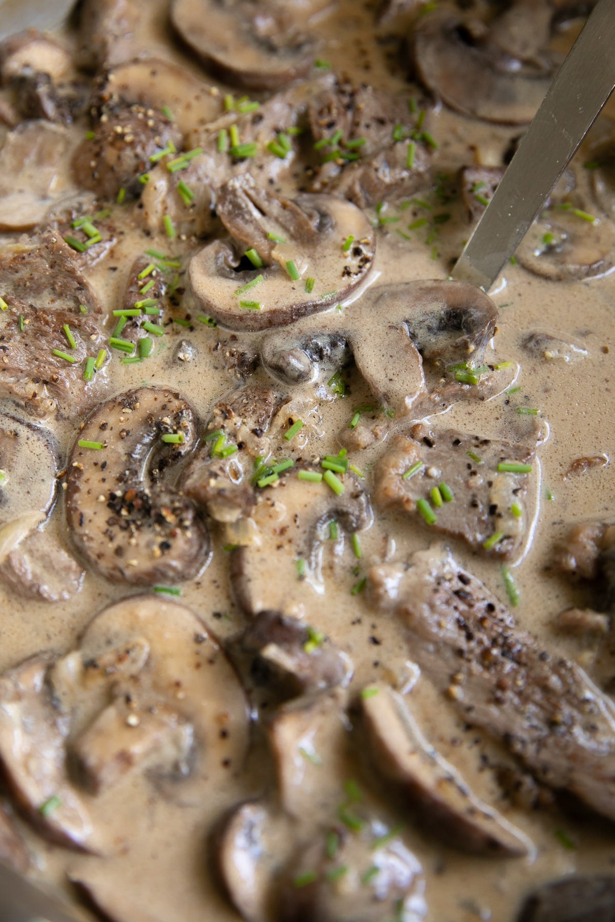 Mushroom and beef stroganoff in a rich sour cream gravy garnished with chives.
