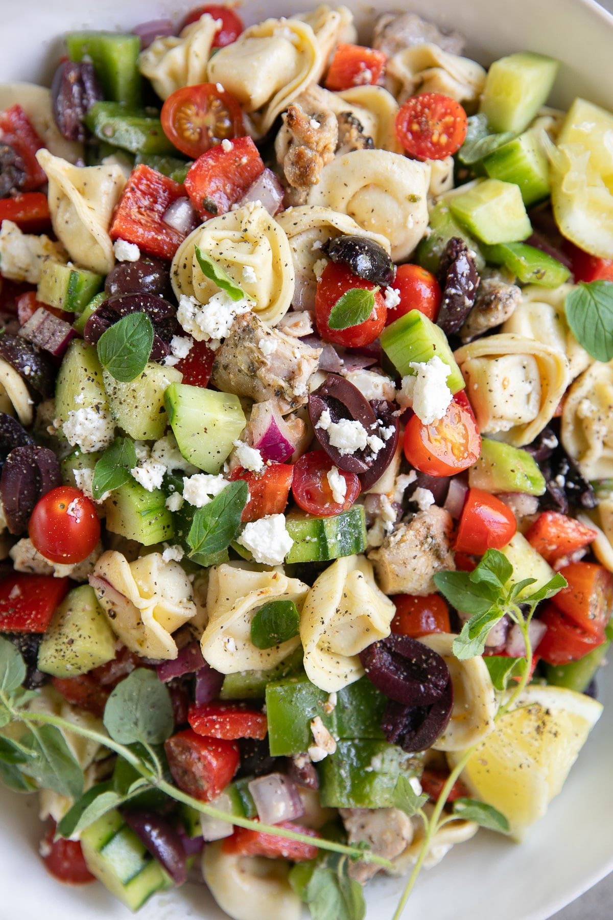 Tortellini salad filled with tortellini, cucumbers, cherry tomatoes, chicken, kalamata olives, bell pepper, and feta cheese.