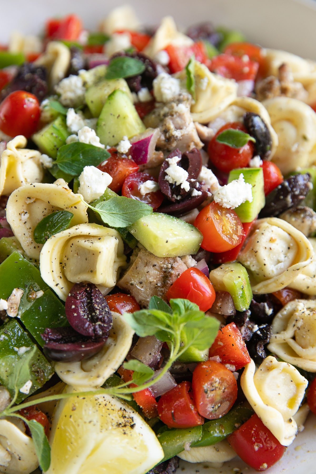 Tortellini salad filled with tortellini, cucumbers, cherry tomatoes, chicken, kalamata olives, bell pepper, and feta cheese.