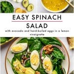 Pinterest pin for spinach salad with a collage layout on a light gray background. The top left image shows ingredients including baby spinach, feta cheese, black pepper, red onion, hard-boiled eggs, honey, avocado, and lemon on a white surface. The top right image shows golden lemon vinaigrette with visible minced garlic and black pepper in a white bowl with a gold spoon and olive green napkin. The bottom image shows a spinach salad in a shallow white bowl with a brown rim topped with avocado slices, hard-boiled eggs, red onion, walnuts, and crumbled feta. Large black text reads โEASY SPINACH SALADโ and smaller black text below reads โwith avocado and hard-boiled eggs in a lemon vinaigrette.โ Theforkedspoon.com appears at the bottom.