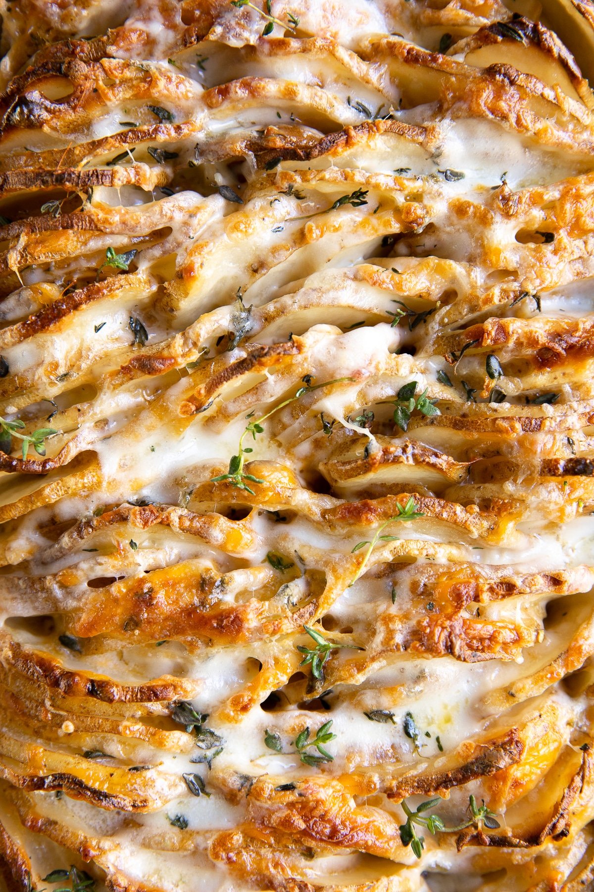 Potatoes au gratin baked until golden and bubbly.