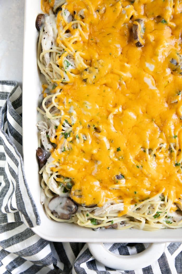 Fully cooked chicken tetrazzini recipe with melted cheddar cheese on the top.