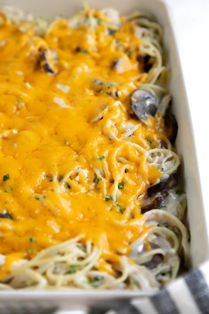 Fully cooked chicken tetrazzini recipe with melted cheddar cheese on the top.