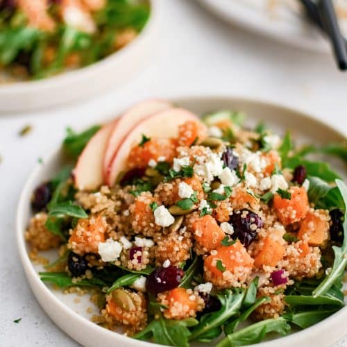 Large dinner plate with a bed of fresh arugula topped with roasted butternut squash combined with cooked golden quinoa, dried cranberries, red onion, pumpkin seeds, feta cheese, and sliced apple, and drizzled lightly with balsamic vinaigrette.
