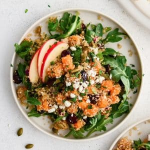 Large dinner plate with a bed of fresh arugula topped with roasted butternut squash combined with cooked golden quinoa, dried cranberries, red onion, pumpkin seeds, feta cheese, and sliced apple, and drizzled lightly with balsamic vinaigrette.