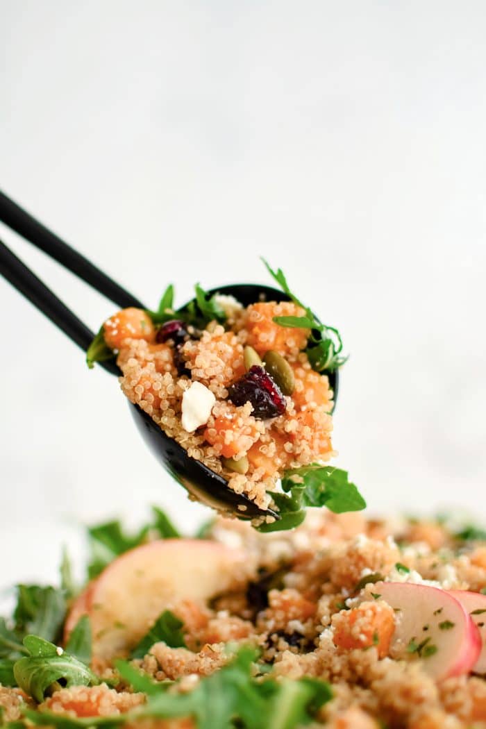 Salad tongs with a large helping of butternut squash salad featuring roasted butternut squash, quinoa, arugula, dried cranberries, and feta cheese.