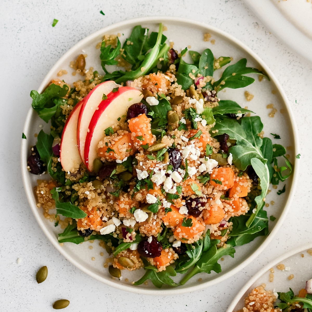 Large dinner plate with a bed of fresh arugula topped with roasted butternut squash combined with cooked golden quinoa, dried cranberries, red onion, pumpkin seeds, feta cheese, and sliced apple, and drizzled lightly with balsamic vinaigrette.