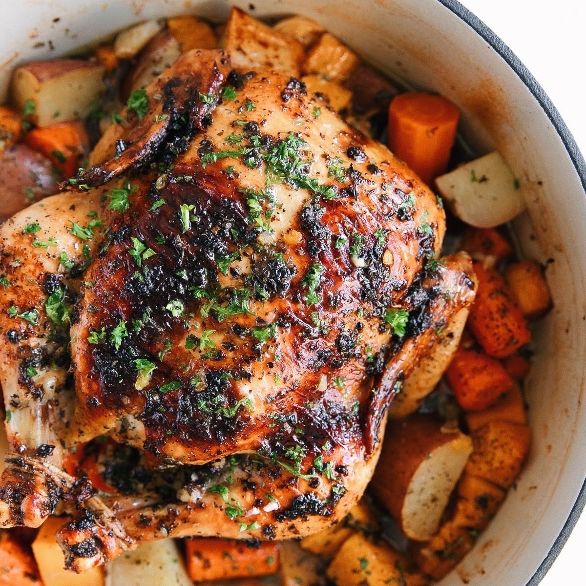 Dutch oven filled with chopped root vegetables and topped with a perfectly juicy golden baked chicken.