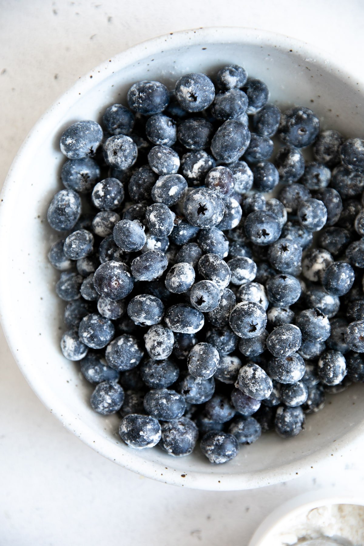 Fresh blueberries tossed in all-purpose flour.