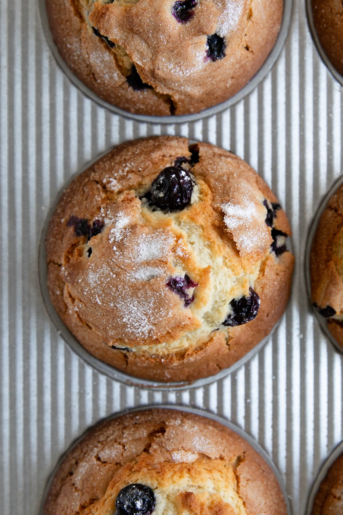 Homemade bakery style blueberry muffins.