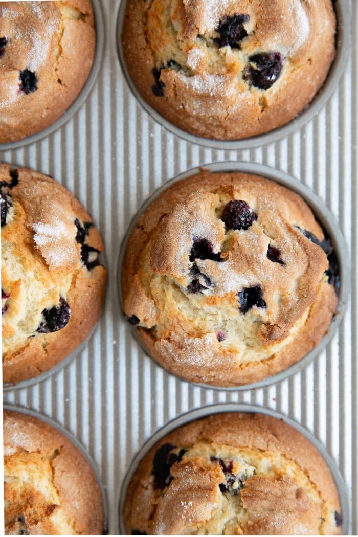 Homemade bakery style blueberry muffins.