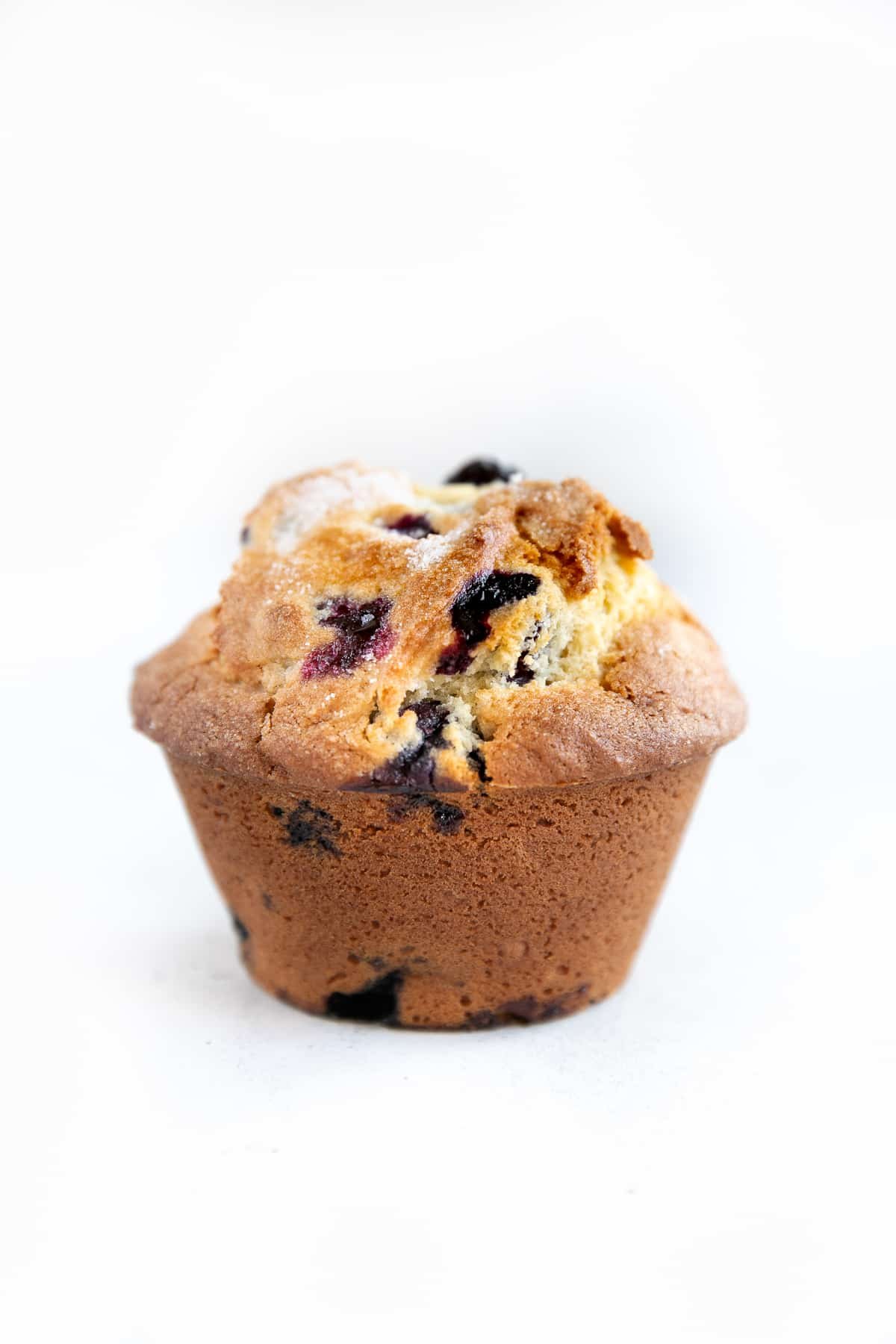 One large blueberry muffin.