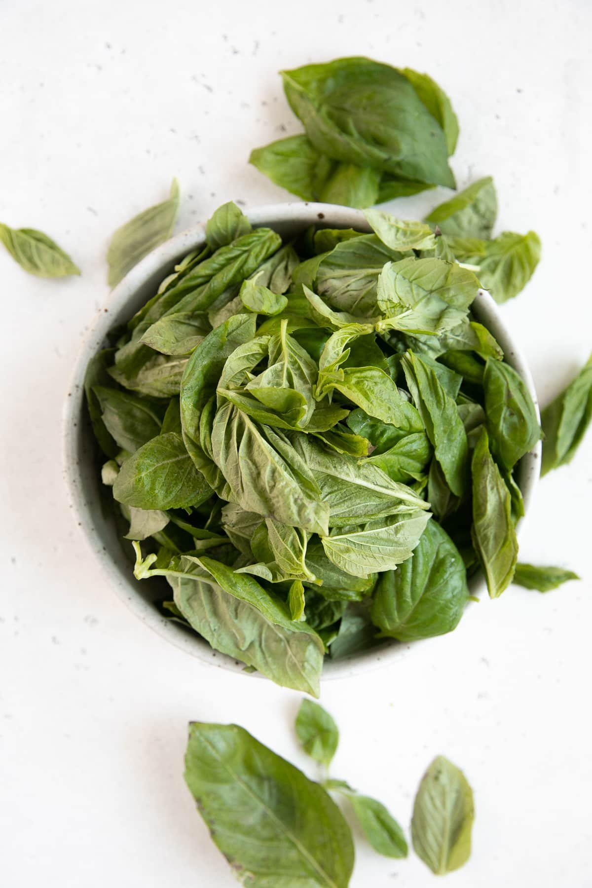 White bowl overflowing with fresh basil leaves.