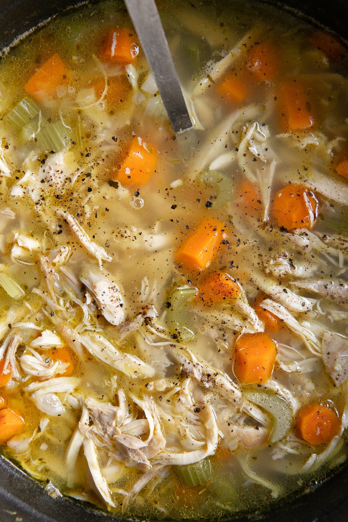 Large pot filled with homemade chicken soup recipe made with chicken, carrots, celery, and broth.