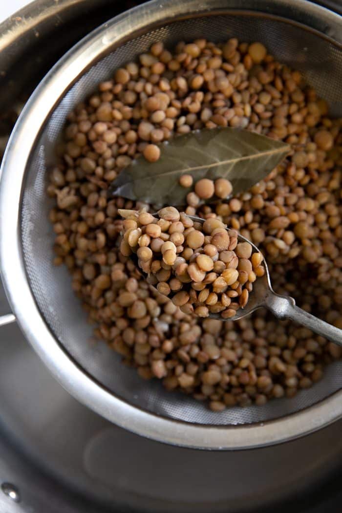 Cooked green lentils draining in a fine mesh strainer.