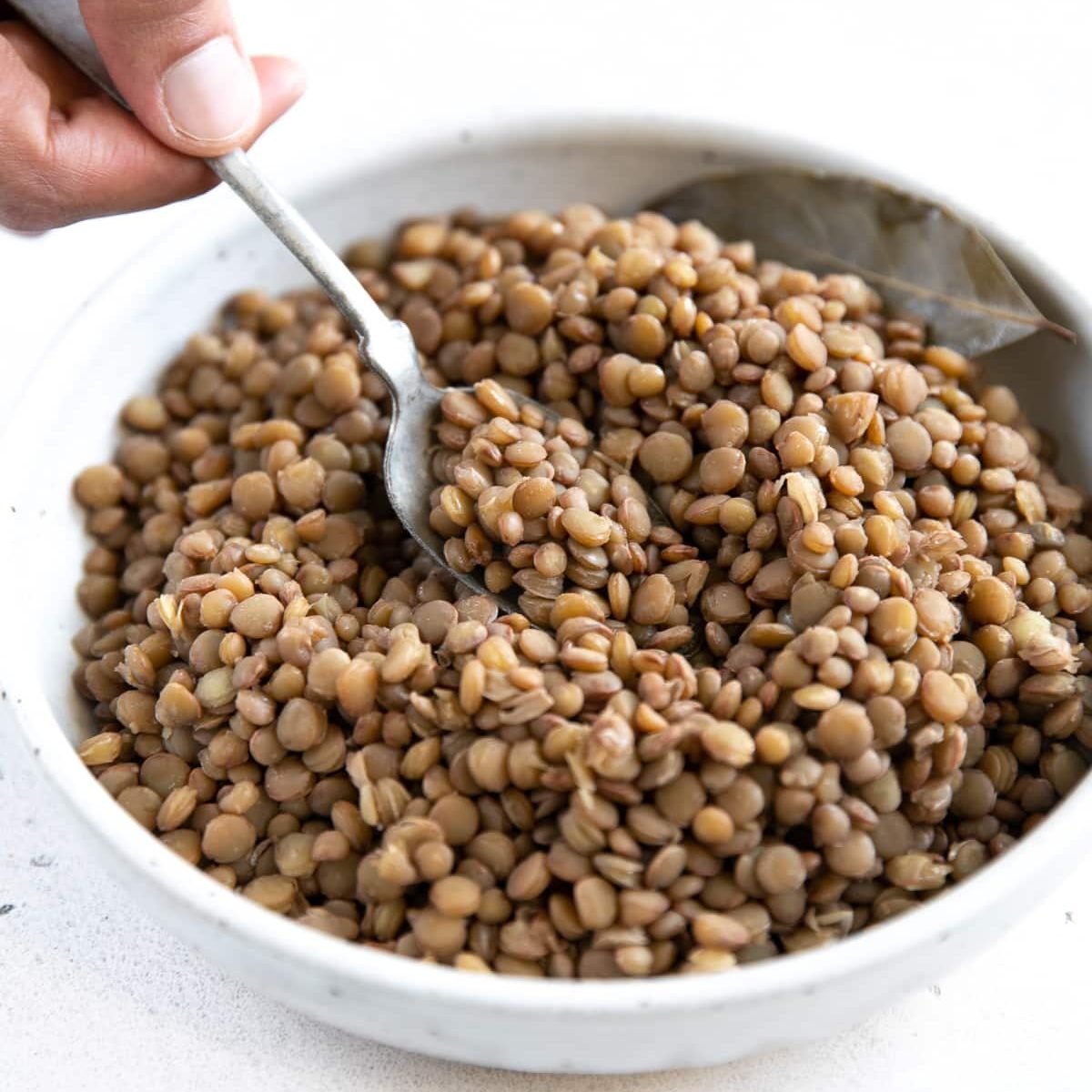 White bowl filled with perfectly cooked green lentils.