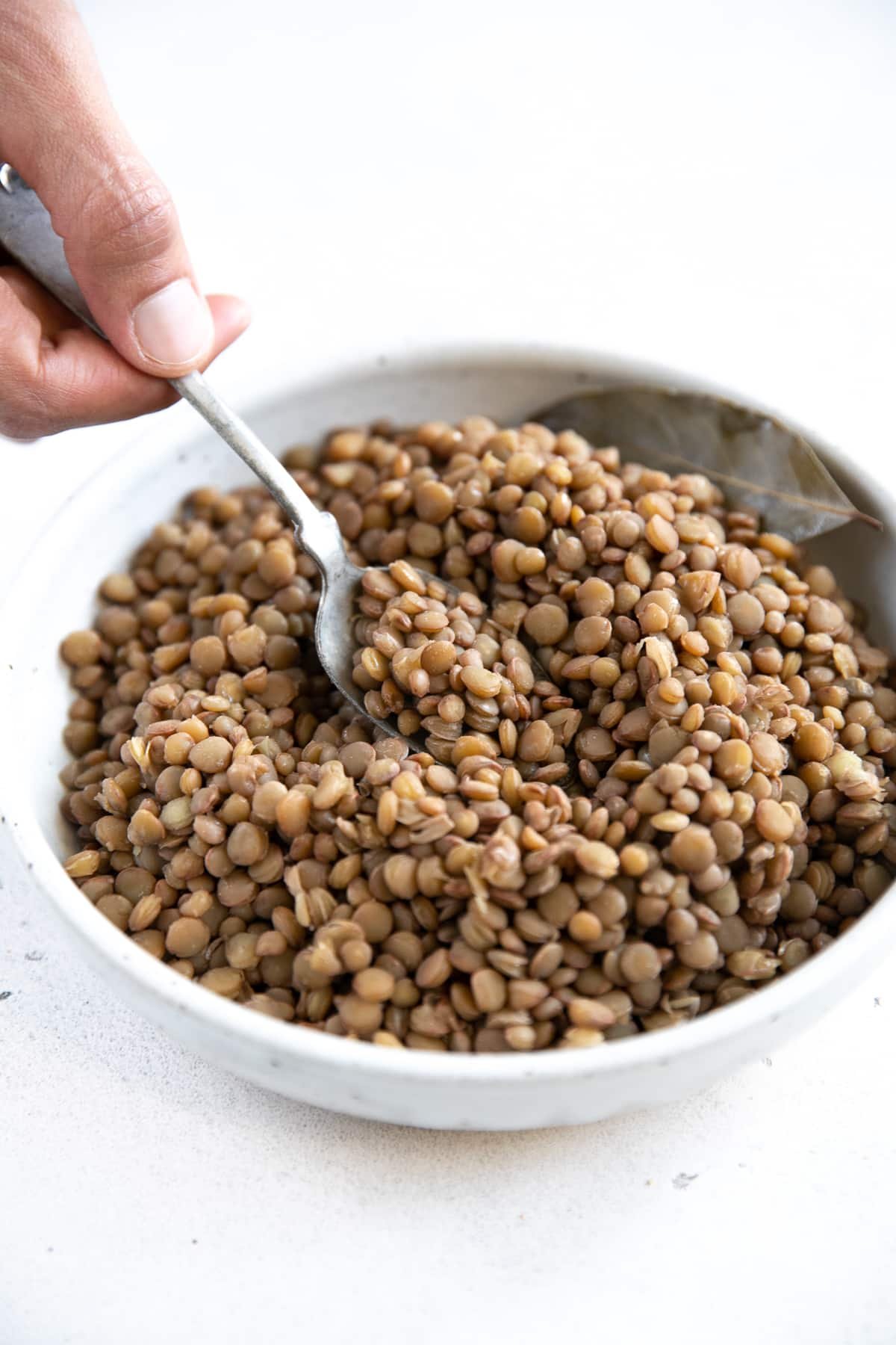 Lentils Types Recipes And How To Cook Lentils The Forked Spoon