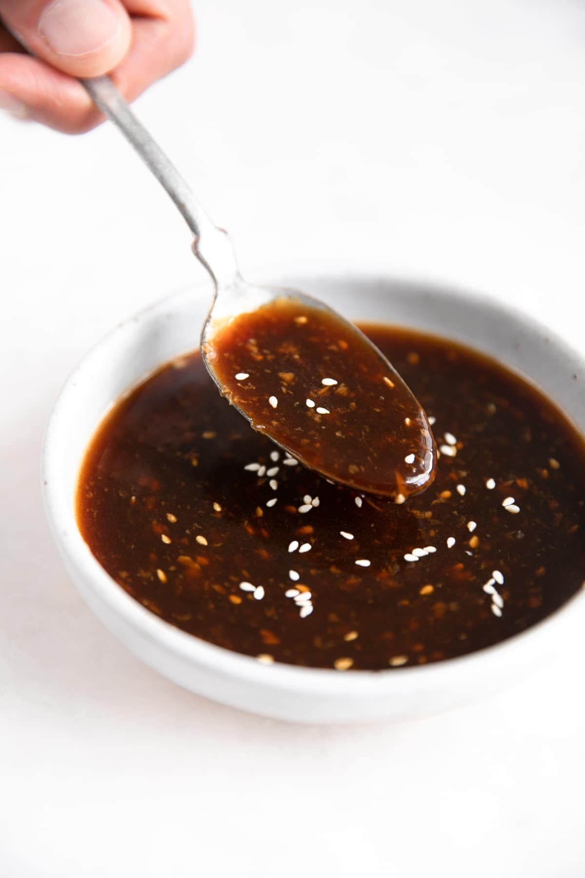 culinary tours sesame teriyaki sauce