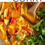 chicken curry short pin
