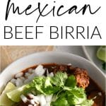 birria long pin