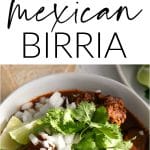 birria long pin