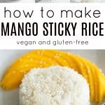mango sticky rice long pin