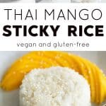 mango sticky rice long pin