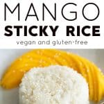 mango sticky rice long pin