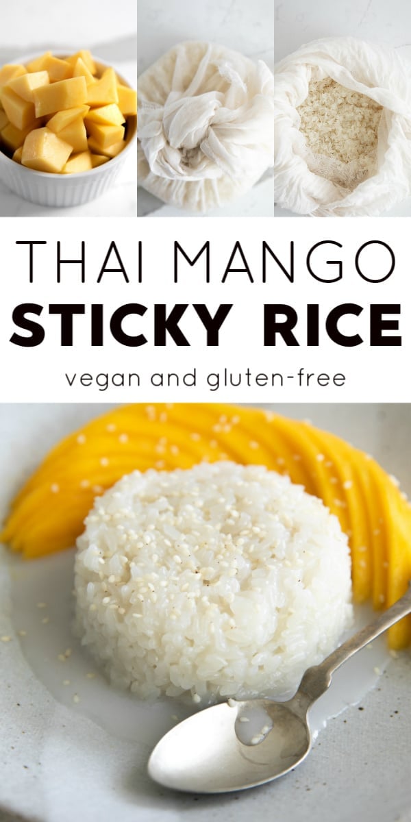 mango sticky rice long pin