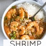shrimp etouffee short pin
