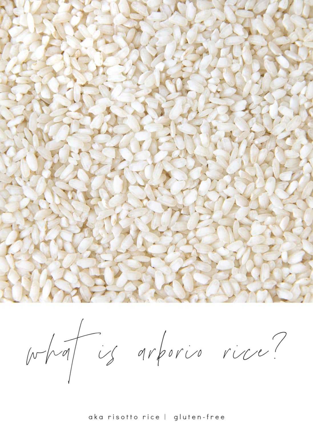 What is Arborio Rice? The Forked Spoon