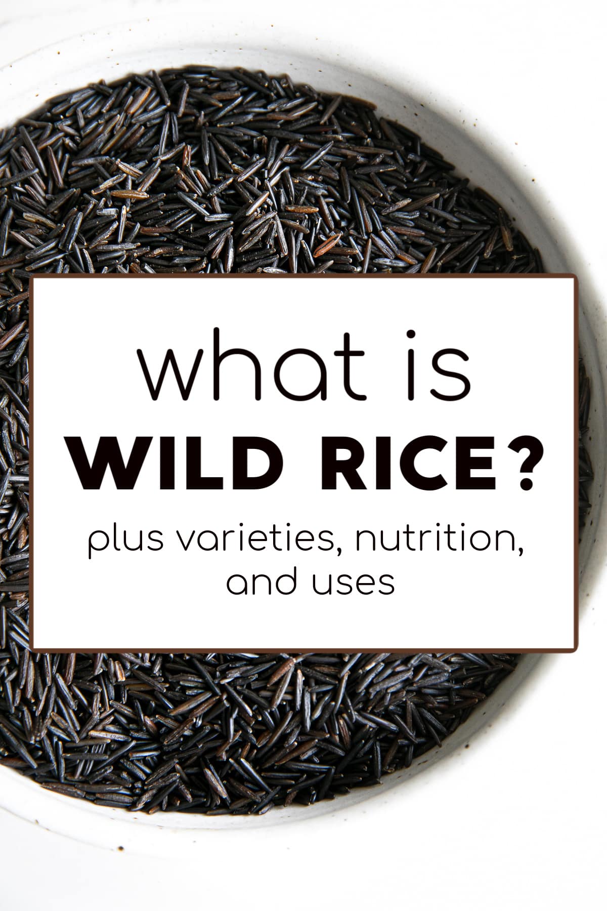 What is Wild Rice? - The Forked Spoon